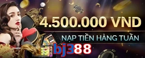 bj388